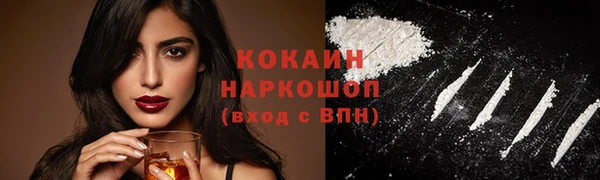 амф Елизово