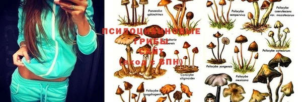 mdma Заволжье