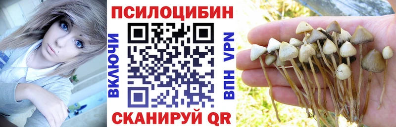 дарк нет наркотические препараты  Котово  Псилоцибиновые грибы мухоморы  где купить наркоту  OMG вход 